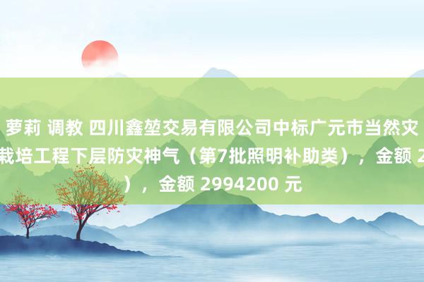 萝莉 调教 四川鑫堃交易有限公司中标广元市当然灾害济急技术栽培工程下层防灾神气（第7批照明补助类），金额 2994200 元