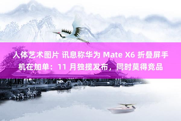 人体艺术图片 讯息称华为 Mate X6 折叠屏手机在加单：11 月独揽发布，同时莫得竞品