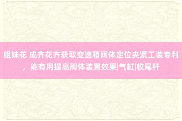 姐妹花 成齐花齐获取变速箱阀体定位夹紧工装专利，能有用提高阀体装置效果|气缸|收尾杆