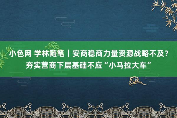 小色网 学林随笔｜安商稳商力量资源战略不及？夯实营商下层基础不应“小马拉大车”