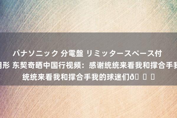 パナソニック 分電盤 リミッタースペース付 露出・半埋込両用形 东契奇晒中国行视频：感谢统统来看我和撑合手我的球迷们🙏