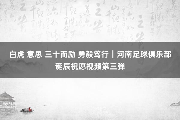 白虎 意思 三十而励 勇毅笃行｜河南足球俱乐部诞辰祝愿视频第三弹